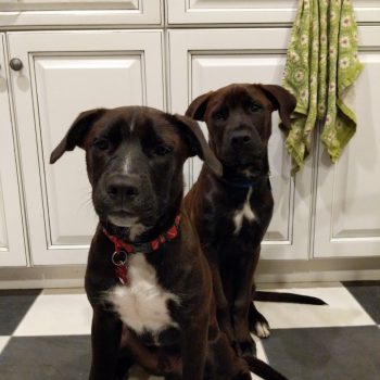 Oakley and Wilson